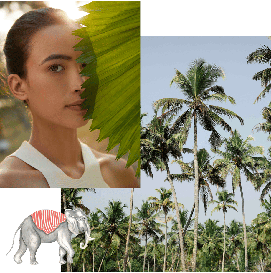 Kama Ayurveda Content Model